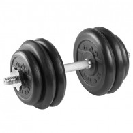 Гантель разборная 27 кг TITAN Barbell - d26